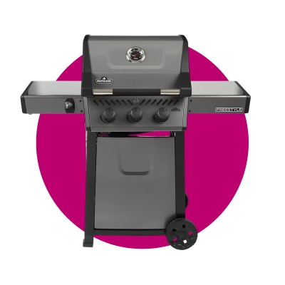 NAPOLEON FREESTYLE 365